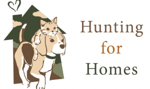 Hunting for Homes